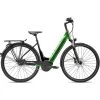Breezer Powertrip Evo IG 2.3+ LS Grün/schwarz