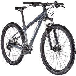 Cannondale Trail 6 Grau