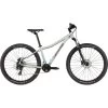 Cannondale Trail 8 Damen Grau