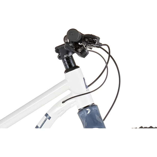 Cobra Jura Cobra 24" Disc 8-fach Weiß/grau 5 Cobra Jura Cobra 24" Disc 8-fach Weiß/grau – Bild 3