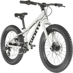 Giant STP 20" Kinder Silber