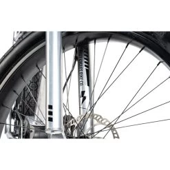 Ruff Cycles Biggie Bosch Active Line 300Wh Silber -Fahrrad Rabatt Geschäft ruff cycles biggie bosch active line 300wh silver 5