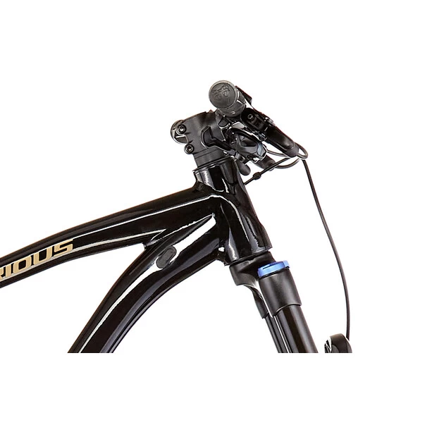 Serious EL Capitan Comp 29" Schwarz/gold 5 Serious EL Capitan Comp 29" Schwarz/gold – Bild 3