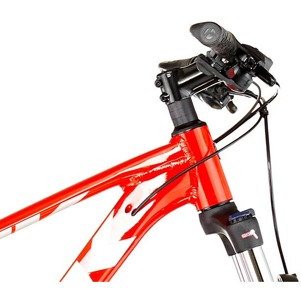 Trek Marlin 5 Rot 6 Trek Marlin 5 Rot – Bild 4